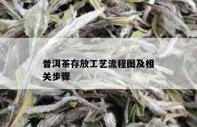 普洱茶存放工艺流程图及相关步骤