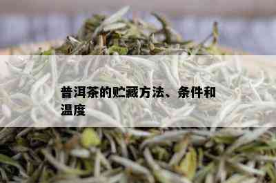 普洱茶的贮藏方法、条件和温度