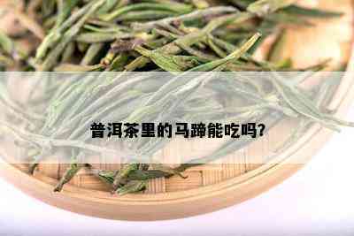 普洱茶里的马蹄能吃吗？