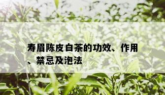 寿眉陈皮白茶的功效、作用、禁忌及泡法