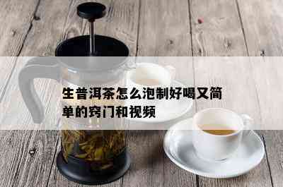 生普洱茶怎么泡制好喝又简单的窍门和视频