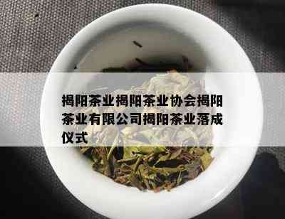 揭阳茶业揭阳茶业协会揭阳茶业有限公司揭阳茶业落成仪式