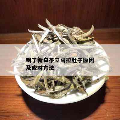 喝了新白茶立马拉肚子原因及应对方法