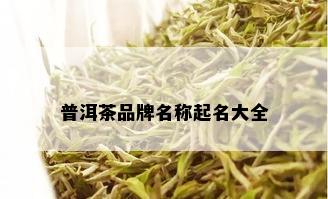 普洱茶品牌名称起名大全