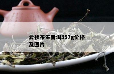 云桢茶生普洱357g价格及图片