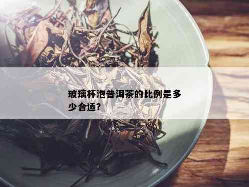 玻璃杯泡普洱茶的比例是多少合适？