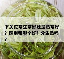 下关沱茶生茶好还是熟茶好？区别和哪个好？分生熟吗？