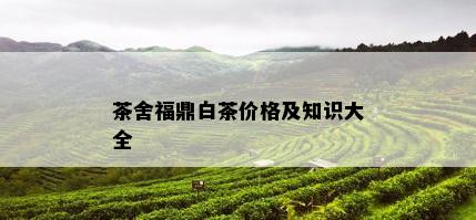 茶舍福鼎白茶价格及知识大全