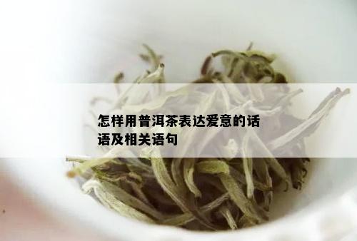 怎样用普洱茶表达爱意的话语及相关语句