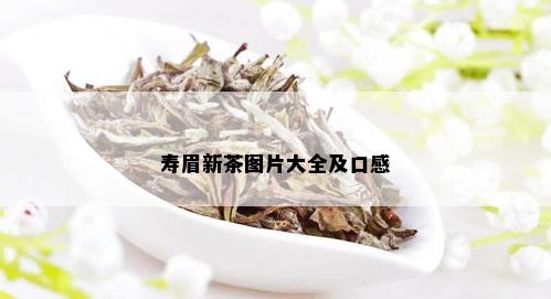 寿眉新茶图片大全及口感