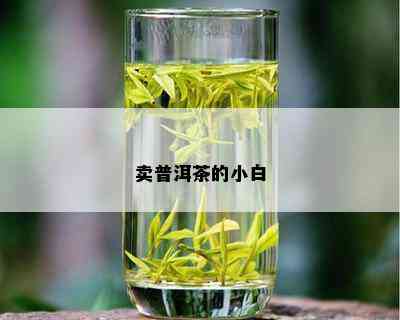 卖普洱茶的小白