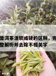 普洱茶渣软或硬的区别，完整解析并去除不相关字