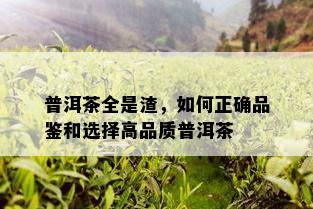 普洱茶全是渣，如何正确品鉴和选择高品质普洱茶