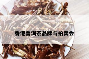 香港普洱茶品牌与拍卖会