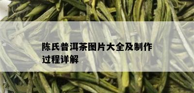 陈氏普洱茶图片大全及制作过程详解