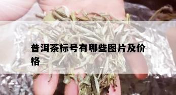 普洱茶标号有哪些图片及价格