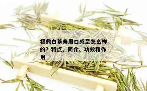 福鼎白茶寿眉口感是怎么样的？特点、简介、功效和作用