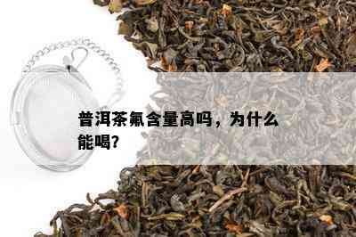 普洱茶氟含量高吗，为什么能喝？