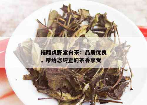 福鼎贞野堂白茶：品质优良，带给您纯正的茶香享受