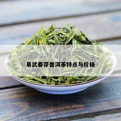 易武春芽普洱茶特点与价格