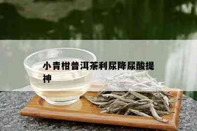 小青柑普洱茶利尿降尿酸提神