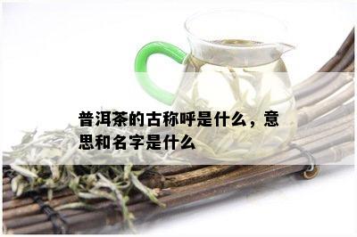 普洱茶的古称呼是什么，意思和名字是什么