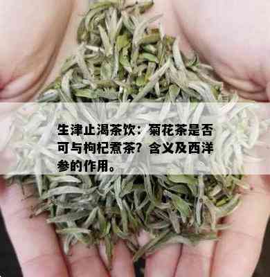 生津止渴茶饮：菊花茶是否可与枸杞煮茶？含义及西洋参的作用。