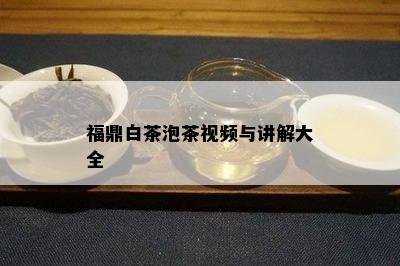 福鼎白茶泡茶视频与讲解大全