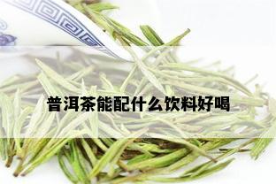 普洱茶能配什么饮料好喝