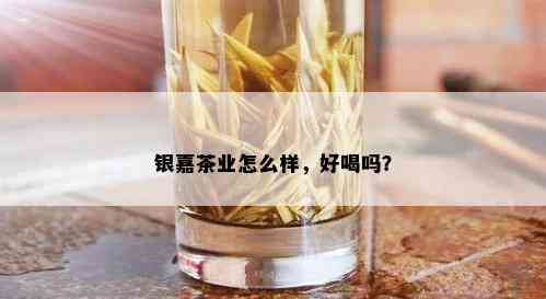 银嘉茶业怎么样，好喝吗？