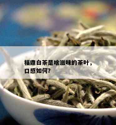 福鼎白茶是啥滋味的茶叶，口感如何？