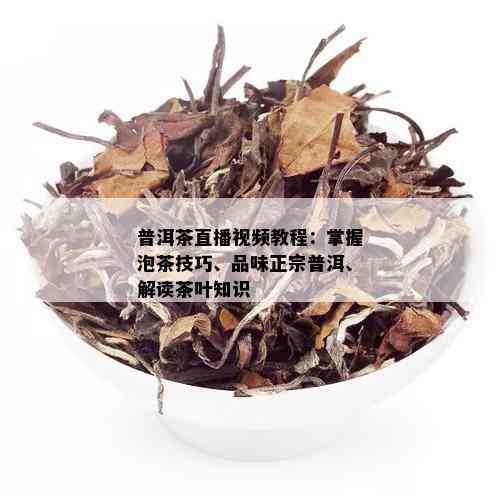 普洱茶直播视频教程：掌握泡茶技巧、品味正宗普洱、解读茶叶知识