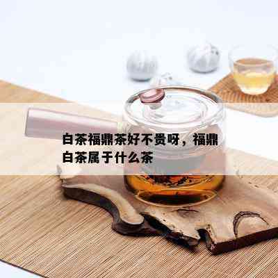 白茶福鼎茶好不贵呀，福鼎白茶属于什么茶