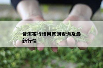 普洱茶行情网官网查询及最新行情