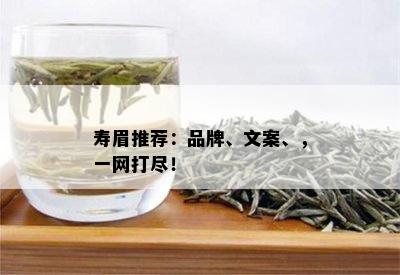 寿眉推荐：品牌、文案、，一网打尽！