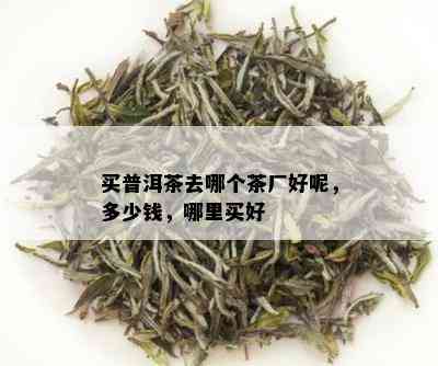 买普洱茶去哪个茶厂好呢，多少钱，哪里买好