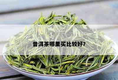 普洱茶哪里买比较好？