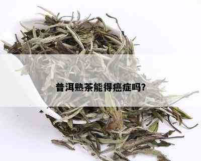 普洱熟茶能得癌症吗？