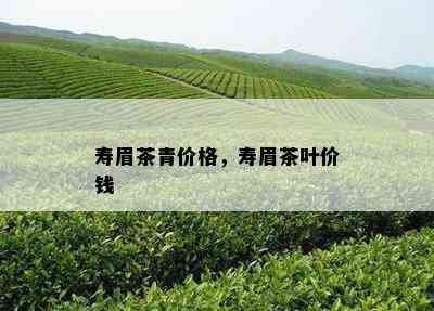 寿眉茶青价格，寿眉茶叶价钱