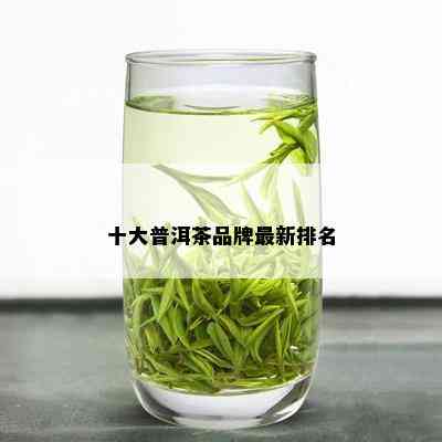 十大普洱茶品牌最新排名