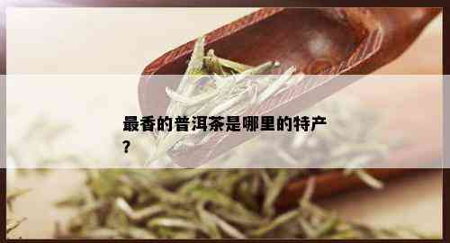 最香的普洱茶是哪里的特产？