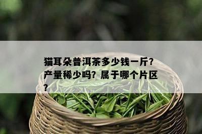 猫耳朵普洱茶多少钱一斤？产量稀少吗？属于哪个片区？