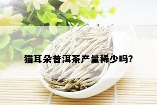 猫耳朵普洱茶产量稀少吗？