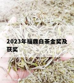 2023年福鼎白茶金奖及获奖