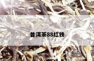 普洱茶88红铁