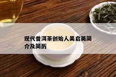 现代普洱茶创始人吴启英简介及简历