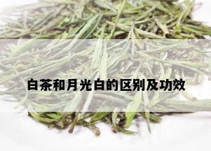 白茶和月光白的区别及功效