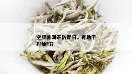 空腹普洱茶伤胃吗，有助于排便吗？