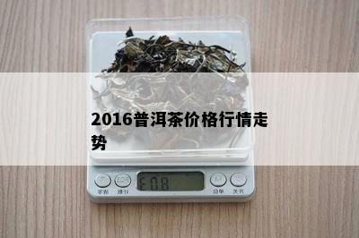 2016普洱茶价格行情走势