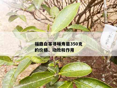 福鼎白茶寻味寿眉350克的价格、功效和作用